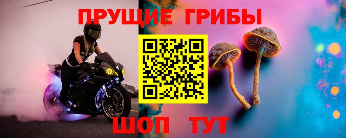 Галлюциногенные грибы Magic Shrooms Белово
